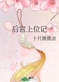美女全黄网站免费观看