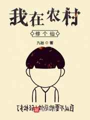 华丽的外出2在电影线