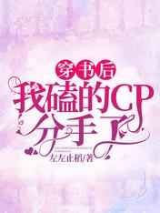 独家记忆张超主演小说