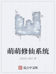 军师联盟在线播放观看