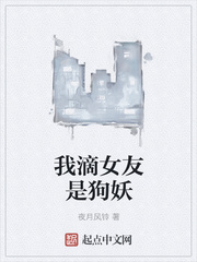 汉语桥视频