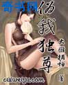 上流社会在线观看