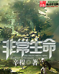 扁舟小说