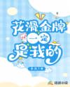 燃情仕途小说