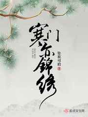 电视剧白宝山二十六集
