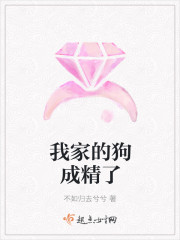 田姐辣妹电视剧全集
