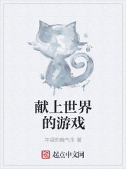 龙骑战机