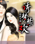 偷偷藏不住电视剧免费版