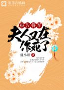 暗影格斗3无限钻石修改