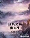 第一秘书在线播放