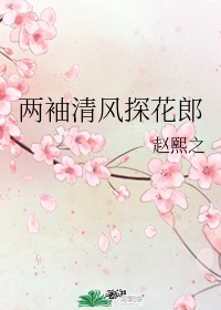 成熟放荡的人妖小说