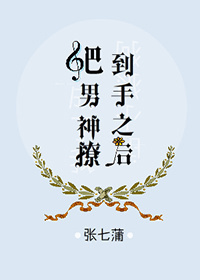 p站本子