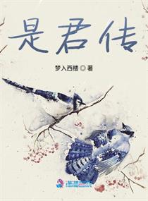 5x一5x视频在线5xsq