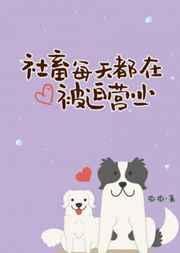 都市娱乐之全能大明星