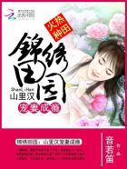 灿烂电视剧40集免费观看