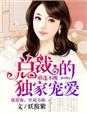 亲亲我的宝贝小说