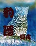 小宝寻花高质量牛仔裤衬衣