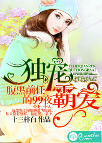 蓝天公司的王静第四部