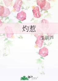 在世界的角落
