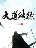 亮剑11