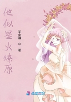 乔枫李婷杨丽