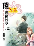 棉门帘