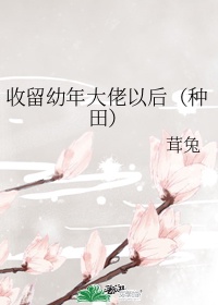 东风破电视剧演员表