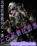 贡品男后