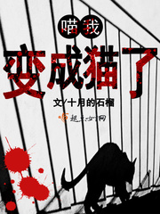 黄色一级网