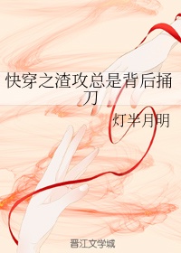 南安太妃传