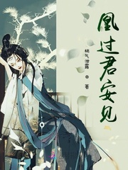 免费100视频在线播放器