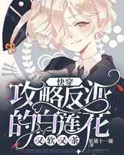 总裁一边开会一边插我