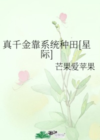 我凭本事单身免费观看