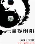 轮回的拉格朗日