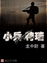 狐狸视频播放器2024
