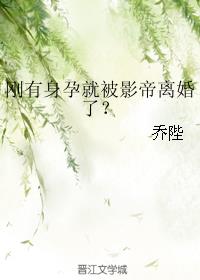 小男孩操大女人