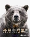 女人的bibi图片