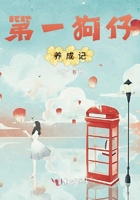 韩国女主播艾琳