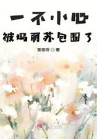 温柔的岳8一20章