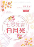 99视频精品全部免费免费观