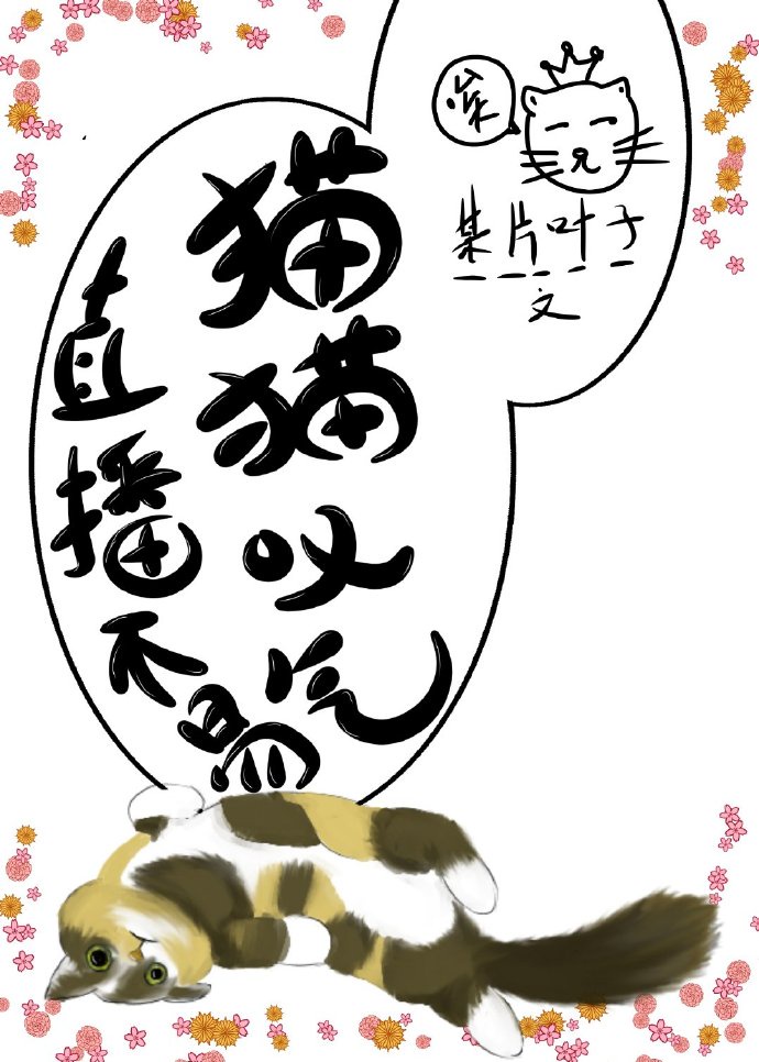 茄子视频破解版app官方版