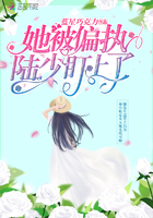 赘婿2电视剧在线观看免费完整版