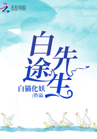 路上有狼电视剧