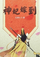 男主叫霍北城的小说