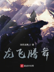 飞速小说网八路中文网