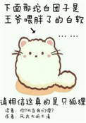 yy4480夜魔