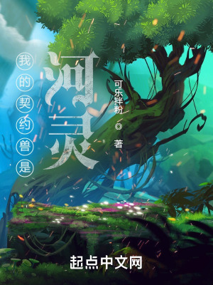 镜里片