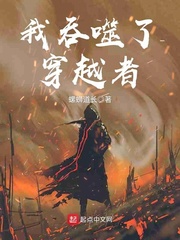 干刘亦菲小说