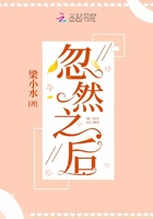 高达zz
