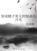 亚洲欧美不卡中文字幕
